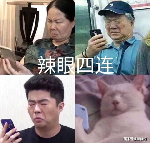 搞笑表情包图片对不起,我老婆呢