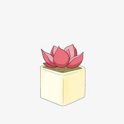 绿植多肉手绘插画图片素材其他格式下载动漫人物大全