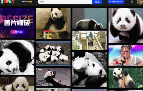 请问一下,那些动态熊猫沙雕表情包是怎么做的,注意是动态哦,知道的说一下,感谢