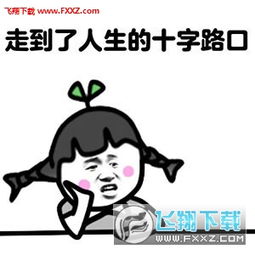 人生最重要的是抉择恶搞斗图下载人生最重要的是抉择表情包无水印版高清版下载飞翔下载