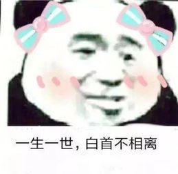 小女子不才,未得公子青睐,待日后公子觅得良人抖音表情包