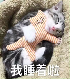 感觉自己得了健忘症