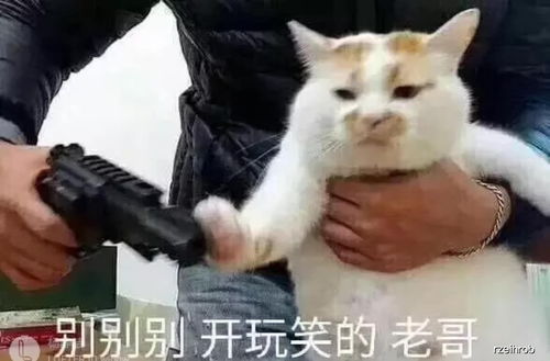 不是他那比蚕宝宝还小怎么能啊医生叮嘱我不能空腹喝水