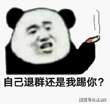热门表情包图片哥哥,你在干嘛呀,狗呆