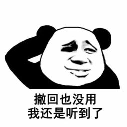 撤回表情系列,撤回也没用,我已经看到了