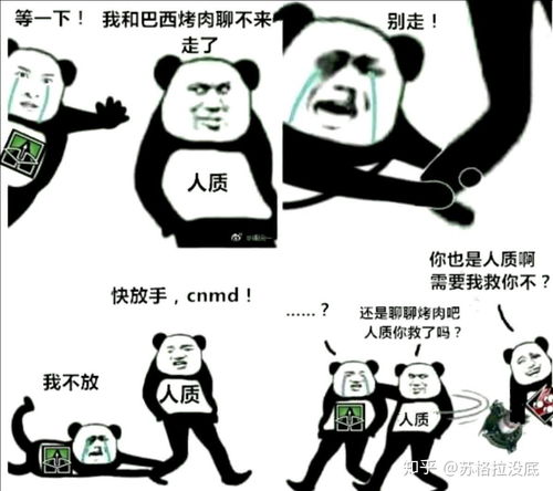 你最喜欢游戏彩虹六号中哪张截图
