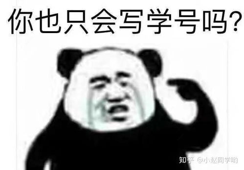 期末考试复习专用表情包都在这里了,哈哈哈哈哈哈哈哈哈笑死我了