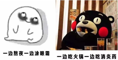 爆笑如果用表情包来总结2017,你的会不会是这样