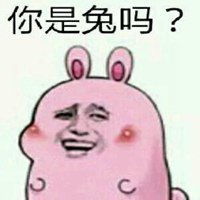 肉团十二生肖微信表情微信头像图片大全