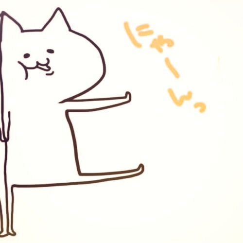 情头猫