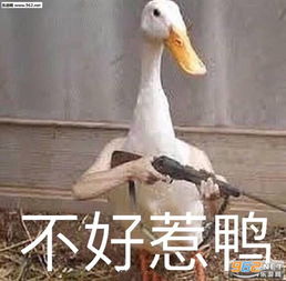 快零点了冲啊表情包在违法的边缘大鹏展翅沙雕表情包下载乐游网游戏下载