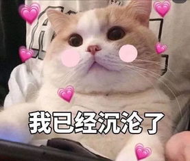 11.11薅羊毛攻略来了16家美食门店狂打6.6折从日料川菜到火锅甜品这才是真省钱模式