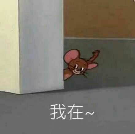 有什么好玩的猫和老鼠表情包