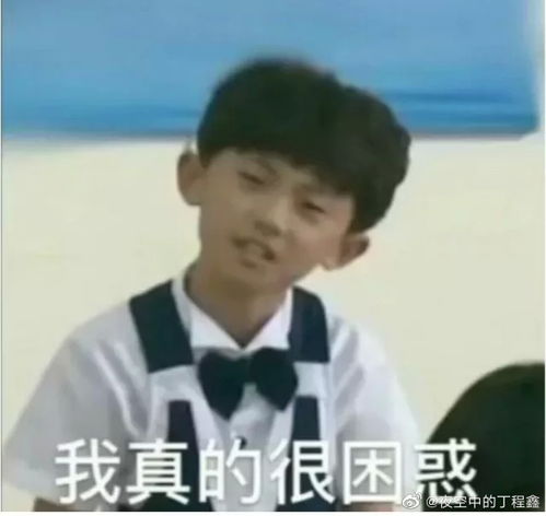 看到花姐的无意义端水突发奇想好奇一下各家粉丝之间表白楼