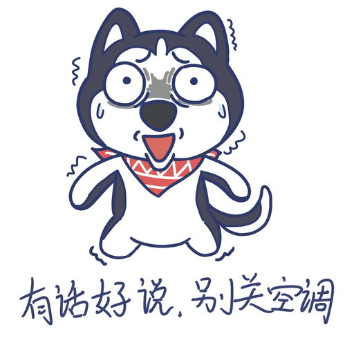 晒宠知识空调虽好,可不要贪吹哟