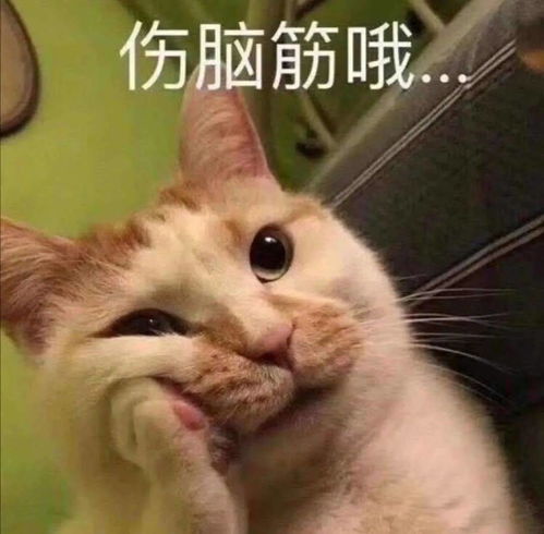 福利购丨小两百就能买到的女明星同款,这个新年穿它就够了
