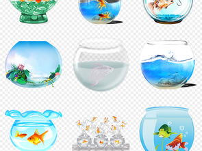 卡通手绘水族馆透明鱼缸金鱼促销海报背景png素材图片模板下载34.00mb其他大全生活工作
