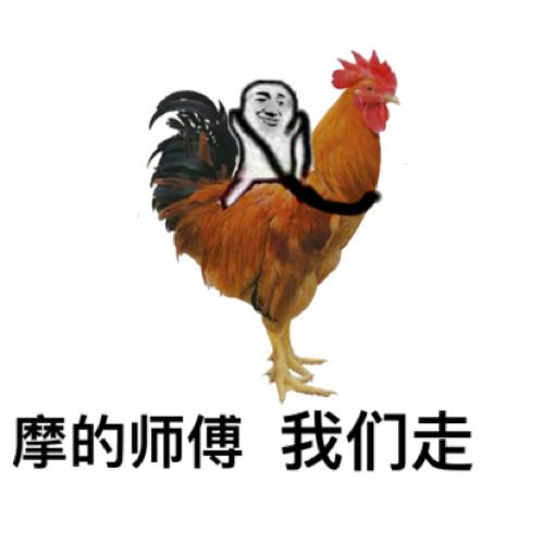 空姐图片表情包搞笑小姐姐