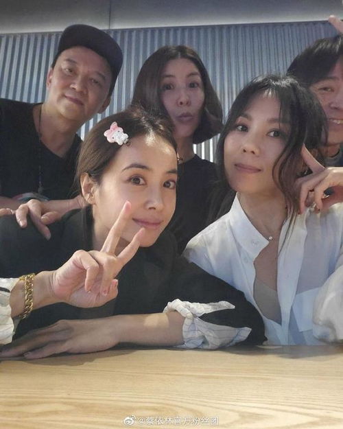 蔡依林青峰蔡健雅许茹芸聚会自拍jolin戴卡通发夹少女可爱