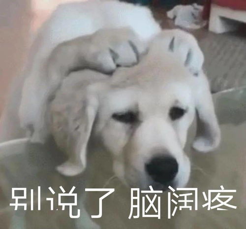 日常沙雕搞笑表情
