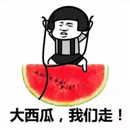 缤纷夏日,来大珠山瓜分幸福