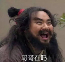 表情包我对生活要求挺低的,熬夜不猝死就行了