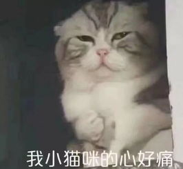 心酸又好笑苏州110和120一起呼叫119,有个壮汉中风抬不动