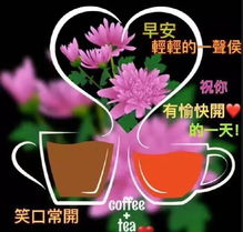 5月最新早上好动态带字好看最美的早安带字图片表情动态
