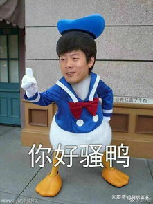 百度知道优质回答能刷吗