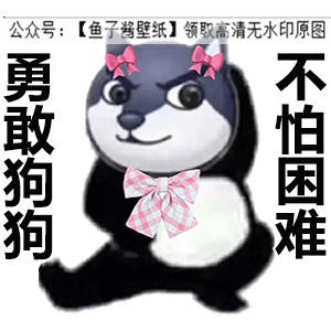 勇敢牛牛系列勇敢蛙蛙虎虎猫猫狗狗表情包抖音热门朋友圈文案背景微信