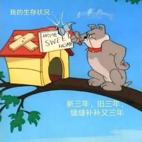 搞笑表情包图片脸上露出了,谜一样的笑容