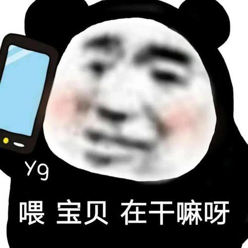 搞笑沙雕熊猫头表情包有人拼结婚吗老公是你的,彩礼是我的