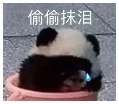 由丑变漂亮是一种什么体验真的太不可思议了
