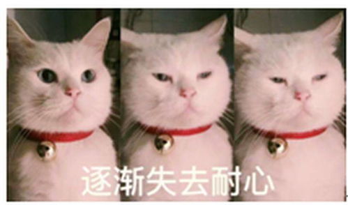为什么现在的人还这么排斥保险