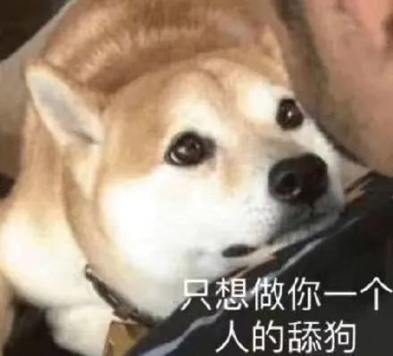 这么多年,首富爸爸为何放任儿子搞网红经济