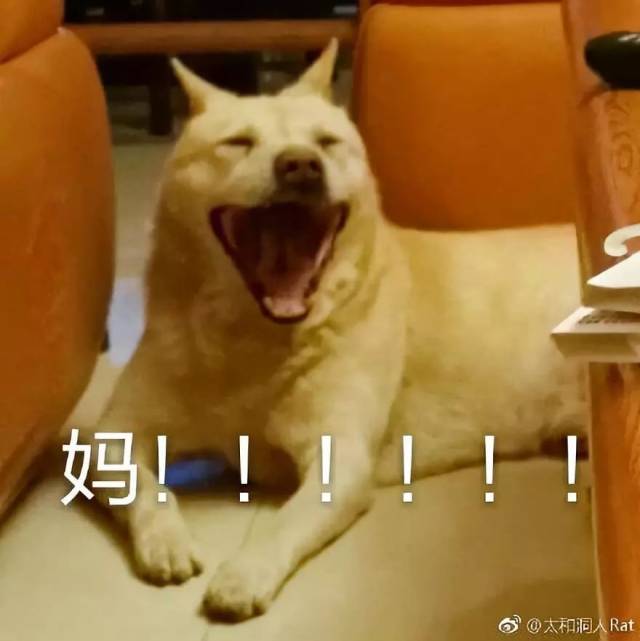 秃头表情包搞笑作家们