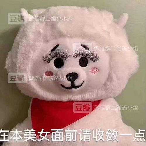 表情包,头像,朋友圈背景,文案分享