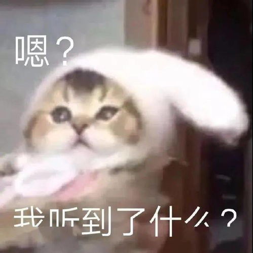 3套早春连衣裙示范照着穿巨时髦