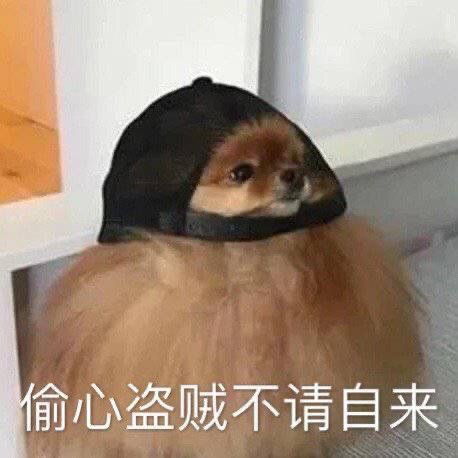 表情包沙雕表情包35期
