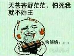 隔壁老王搞笑斗图表情包