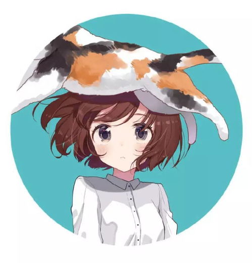 少女与喵我喜欢你你会知道