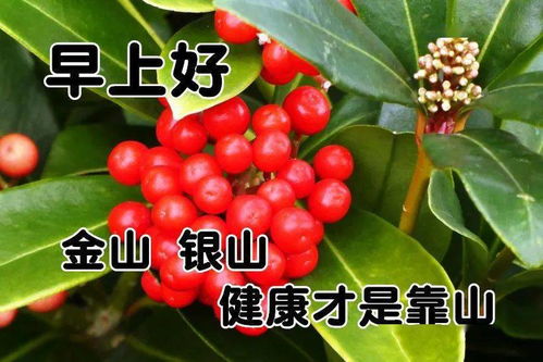 1月30日最漂亮早上好动态表情图片大全,早上好动图美图大全