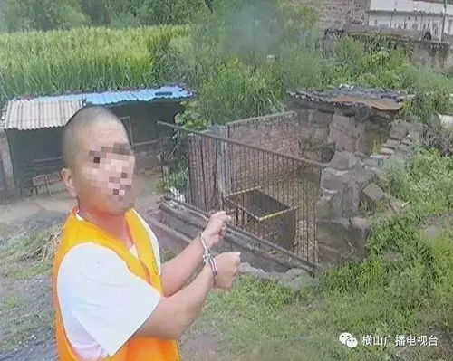 两男子在横山盗窃30余只羊出售,民警在靖边县将二人成功抓获