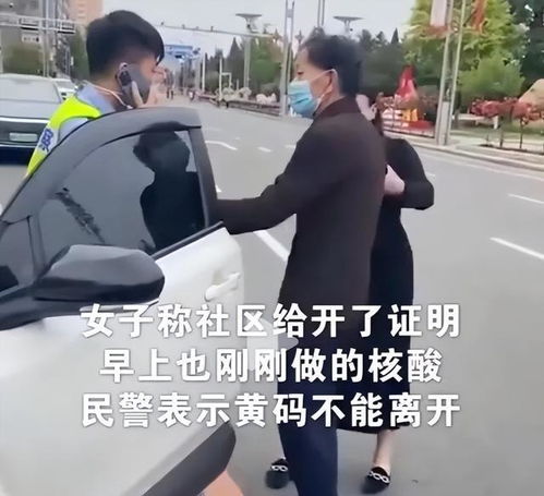 丹东事件最新进展是民警执法碰瓷,还是70岁老人袭警分析来了