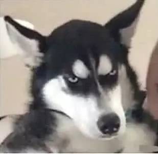 看看你最丑时候的样子
