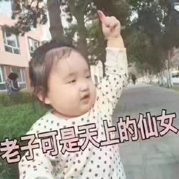 超实用聊天表情包,要的拿去