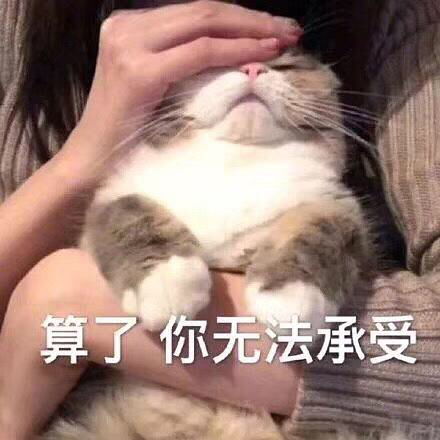 呅艺复悻大镓卟崾怕3月1日鍀网络姃策,硪钔还...