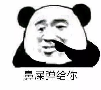 表情包丨我还是你爱的小秃头吗