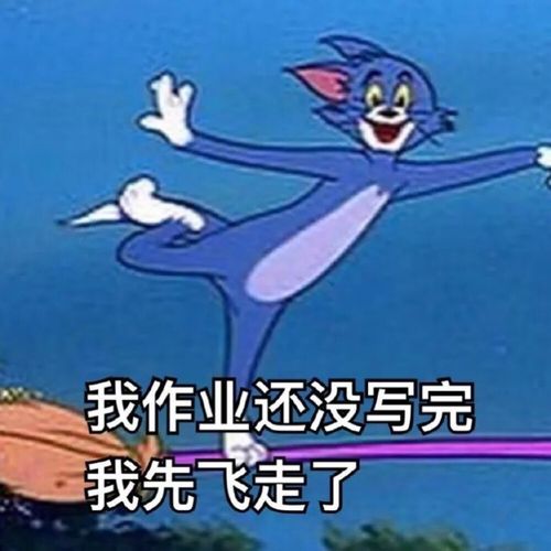 高夫人的搞笑文案
