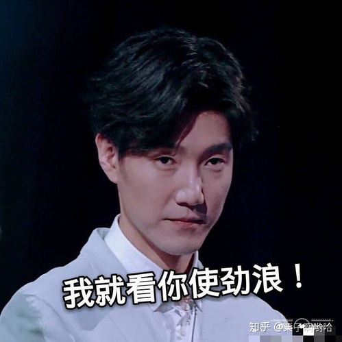 有哪些有趣的梅溪湖表情包